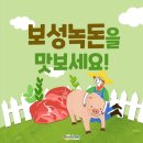 보성녹돈(녹차먹인돼지) | 부산 녹차먹인돼지 보성녹돈 왜 건강한 돼지일까