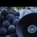 도양농장 이미지