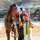 엘도라도 이미지