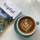 스테이외도 이미지