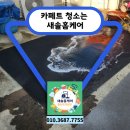 새솔세탁 | 카페트 청소는 새솔 홈케어