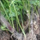 현기농장 이미지