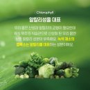 그린시너지 이미지