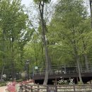 청포대숲속야영장 | [대전] 방동저수지 성북동숲속야영장 후기 🌳