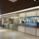 느티나무와 곰이복이 이미지