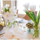 웰-라이프 이미지