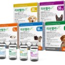 정샘동물병원 이미지