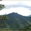 청사랑약국 이미지