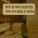 세종 쥐퇴치 전문업체 쥐 출몰, 이렇게 해결했습니다.
