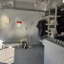 스타일큐브 | 일산남자미용실 추천! 그레이큐브에서 남자아이롱펌 후기 | 남자머리 스타일