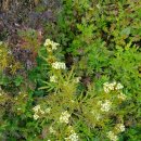 진한공인중개사사무소 이미지