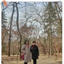 쌈도둑들 이미지