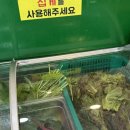 우렁우렁 쌈밥