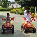 미니랜드 이미지