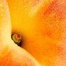 진희농장 이미지