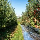 청금리마을회관 이미지