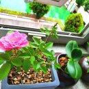 시흥솔병원 이미지