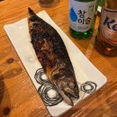 오징어 세상 | [삼성] 늦게까지 하는 삼성역횟집, 오징어세상 삼성점 솔직후기