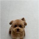 뽀그리독 이미지