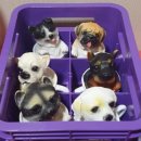 무한골프학교 이미지