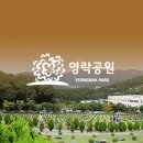 굿플라워 - 보령시 터미널길 8 | 굿플라워