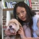 무지개다리 이미지