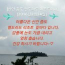 신안 증도 엘도라도 리조트에서 이미지