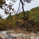 오천지구공인중개사사무소 이미지