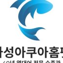 가성수족관 이미지