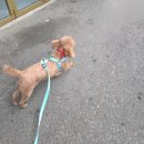 방댕살롱 이미지