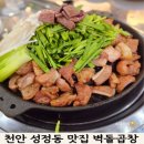 씨유천안성정해피점 | 천안 성정동 맛집, 막창도 맛있는 벽돌곱창 천안성정점