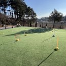 경포몽애견펜션 이미지