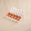 소소농장 이미지