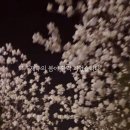 중문낚시마트 ↔ 중문관광단지입구 | 롯데호텔의 편리한 부대시설 아이들과 함께 이용한 후기! 온수풀 해온, 키즈월드, 산책로, 라세느 뷔페