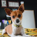 익산플러스약국 이미지