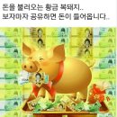 복돼지 이미지