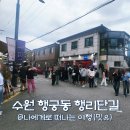 왕초보도 가능한 텃밭 가꾸기 | 수원 행리단길 놀거리(주차 소품샵 카페) 행궁동 벽화마을