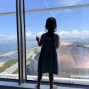 고래와 신사(더 마린) | 6살 아이랑 후쿠오카 여행! 아이가 가장 좋아한 후쿠오카 마린월드 우미노나카미치 후기