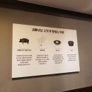 고메식당