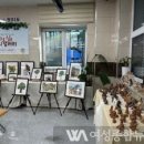 왕조1동 행정복지센터 이미지