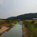 삼밭골천 네이버블로그