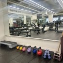 피트니스 메카 이미지