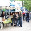 명지대학교 이미지