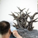 희망사진관 이미지