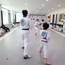고려용호태권도 이미지
