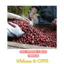 (주)노리아 이미지