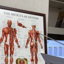 해부학적운동 목동점 | 재활 중심 필라테스, 오목교역 재활필라테스 올바른재활필라테스 목동점 후기