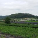 준하농장 이미지