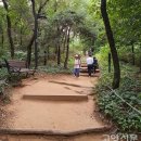 [길 뉴스] 맨발 걷기 해볼까?, 일산 정발산 공원, 고봉산, 안곡 습지 등 이미지