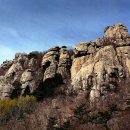 금산-39 이미지